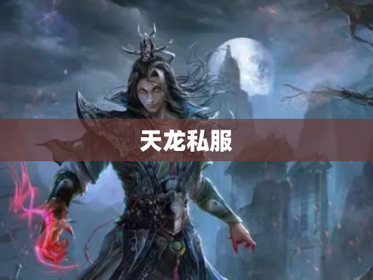 天龙私服