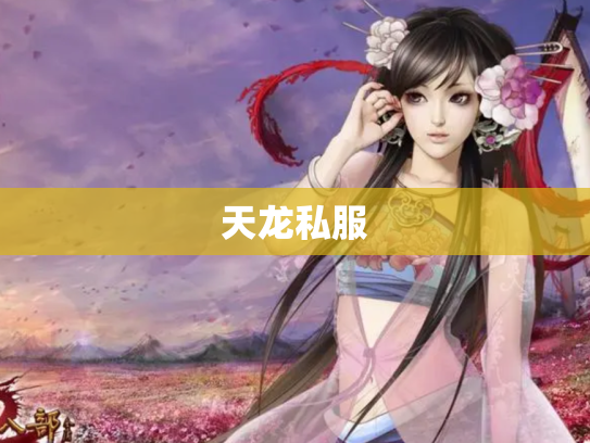 天龙私服
