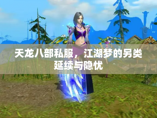天龙八部私服，江湖梦的另类延续与隐忧