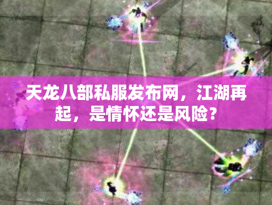 天龙八部私服发布网，江湖再起，是情怀还是风险？