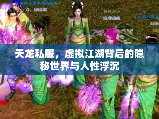 天龙私服，虚拟江湖背后的隐秘世界与人性浮沉