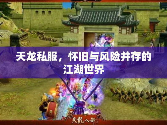 天龙私服，怀旧与风险并存的江湖世界