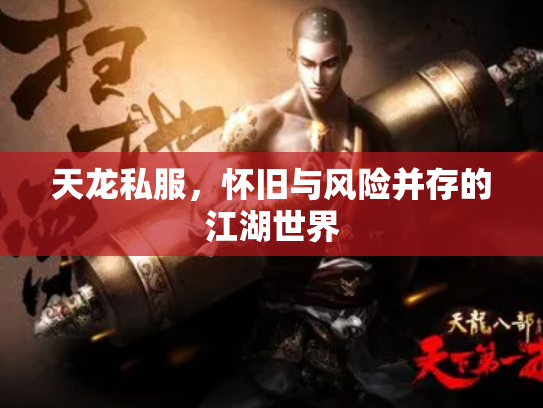 天龙私服，怀旧与风险并存的江湖世界