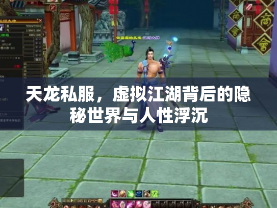 天龙私服，虚拟江湖背后的隐秘世界与人性浮沉