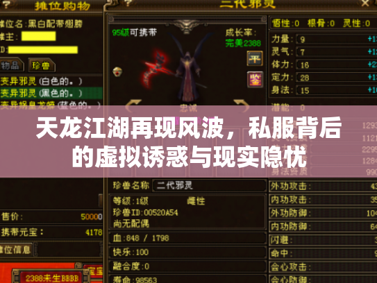 天龙江湖再现风波，私服背后的虚拟诱惑与现实隐忧