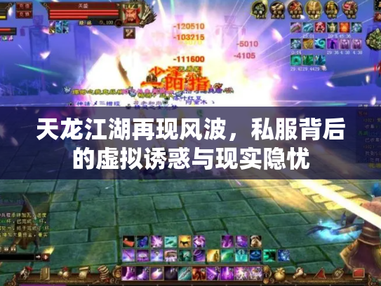 天龙江湖再现风波，私服背后的虚拟诱惑与现实隐忧