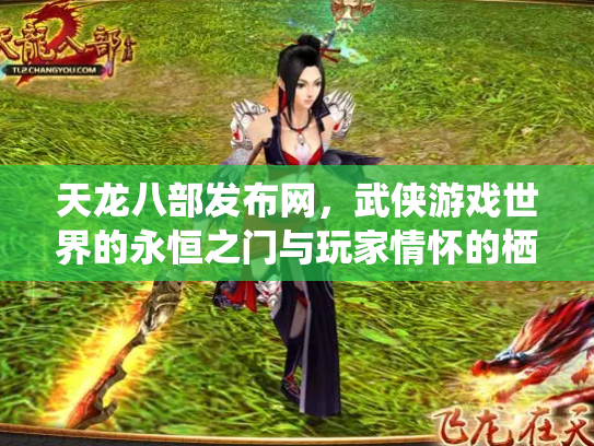 天龙八部发布网，武侠游戏世界的永恒之门与玩家情怀的栖息地