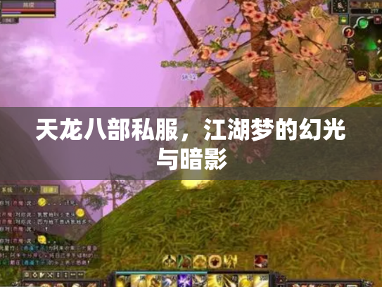 天龙八部私服，江湖梦的幻光与暗影