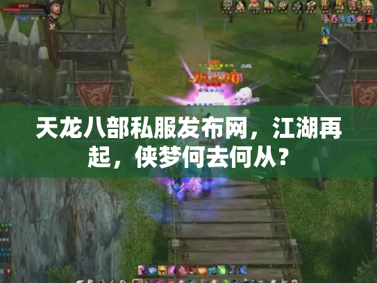 天龙八部私服发布网，江湖再起，侠梦何去何从？