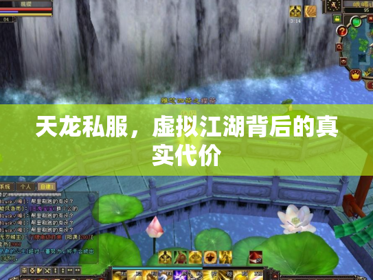 天龙私服，虚拟江湖背后的真实代价