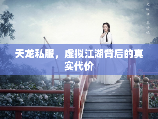 天龙私服，虚拟江湖背后的真实代价