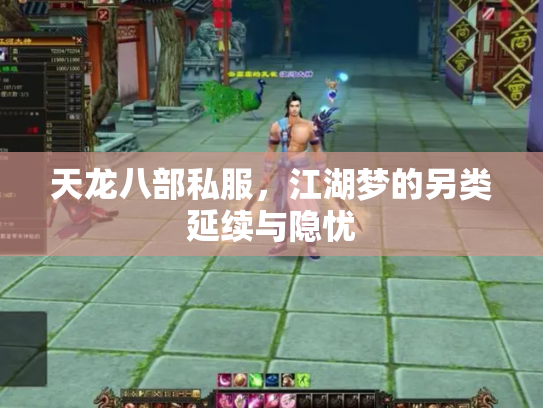 天龙八部私服，江湖梦的另类延续与隐忧