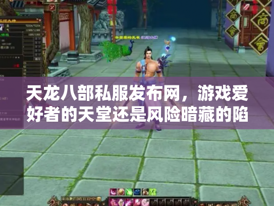 天龙八部私服发布网，游戏爱好者的天堂还是风险暗藏的陷阱？