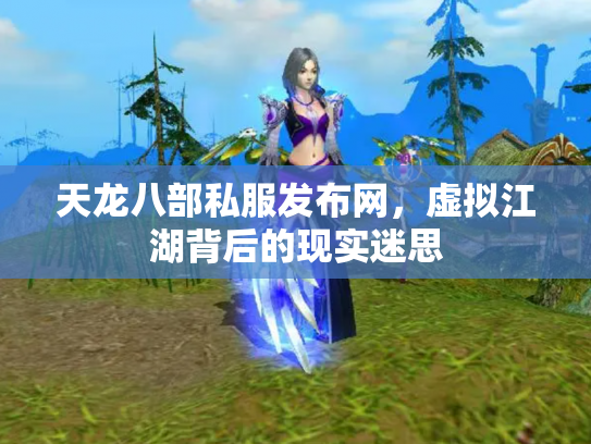 天龙八部私服发布网，虚拟江湖背后的现实迷思