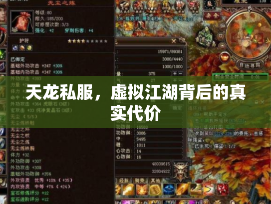 天龙私服，虚拟江湖背后的真实代价