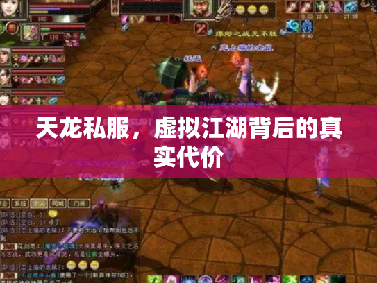 天龙私服，虚拟江湖背后的真实代价