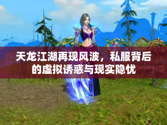 天龙江湖再现风波，私服背后的虚拟诱惑与现实隐忧