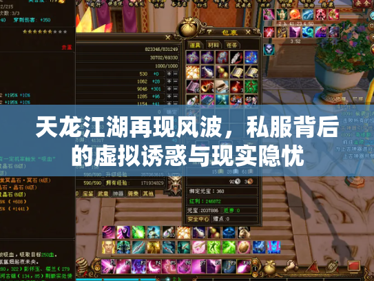 天龙江湖再现风波，私服背后的虚拟诱惑与现实隐忧