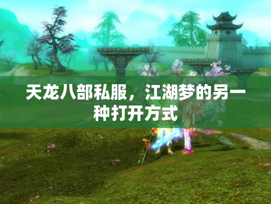 天龙八部私服，江湖梦的另一种打开方式