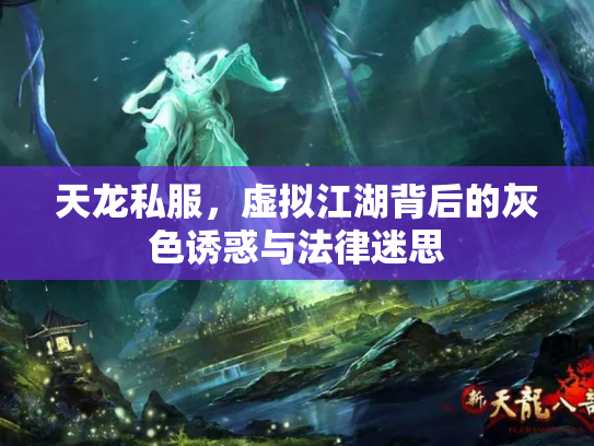 天龙私服，虚拟江湖背后的灰色诱惑与法律迷思