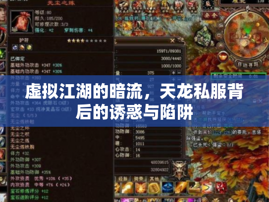 虚拟江湖的暗流，天龙私服背后的诱惑与陷阱