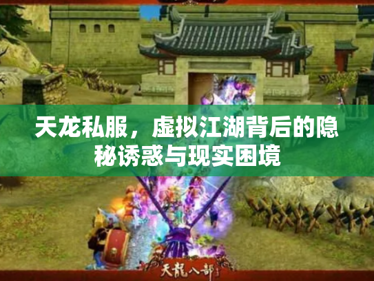 天龙私服，虚拟江湖背后的隐秘诱惑与现实困境