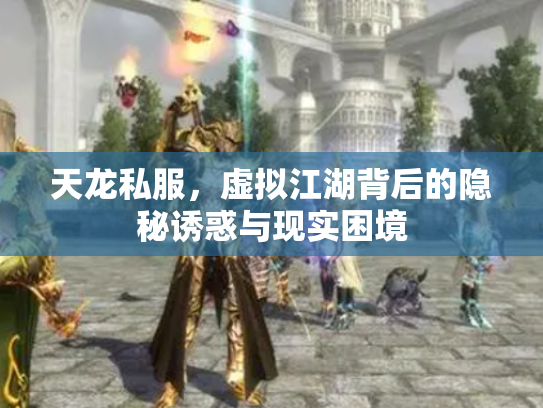 天龙私服，虚拟江湖背后的隐秘诱惑与现实困境