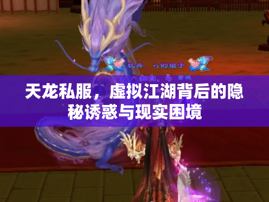 天龙私服，虚拟江湖背后的隐秘诱惑与现实困境