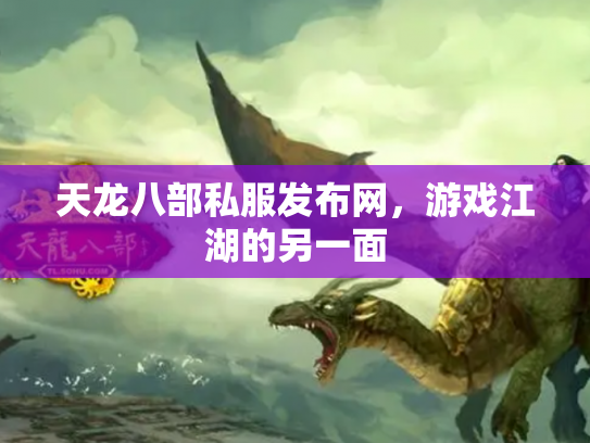 天龙八部私服发布网，游戏江湖的另一面