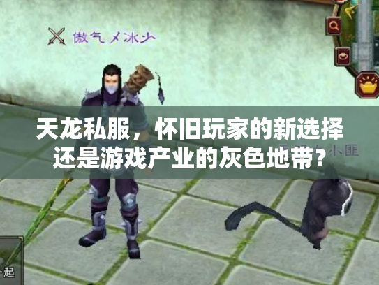 天龙私服，怀旧玩家的新选择还是游戏产业的灰色地带？