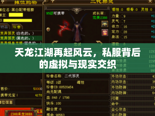 天龙江湖再起风云，私服背后的虚拟与现实交织