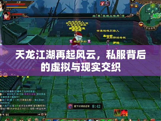 天龙江湖再起风云，私服背后的虚拟与现实交织