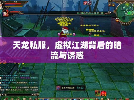天龙私服，虚拟江湖背后的暗流与诱惑