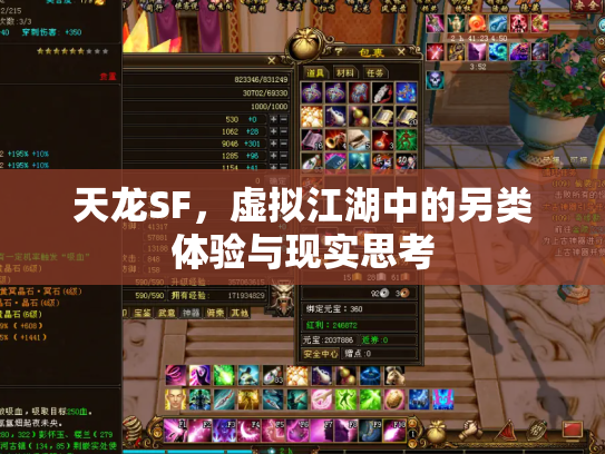 天龙SF，虚拟江湖中的另类体验与现实思考