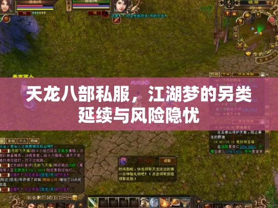 天龙八部私服，江湖梦的另类延续与风险隐忧