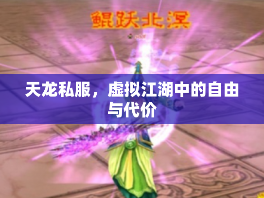 天龙私服，虚拟江湖中的自由与代价