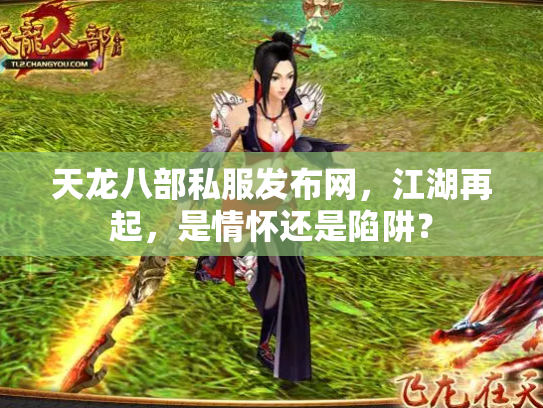 天龙八部私服发布网，江湖再起，是情怀还是陷阱？