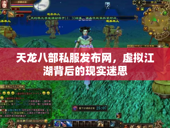 天龙八部私服发布网，虚拟江湖背后的现实迷思