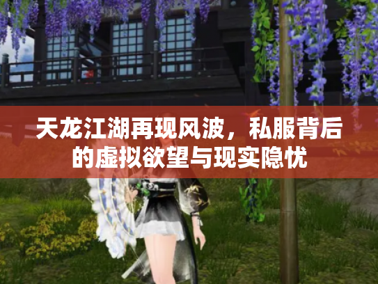 天龙江湖再现风波，私服背后的虚拟欲望与现实隐忧