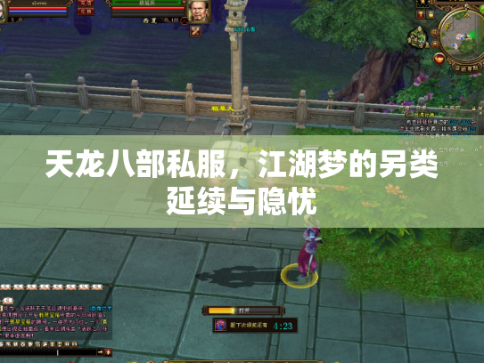 天龙八部私服，江湖梦的另类延续与隐忧