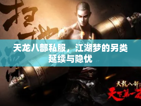 天龙八部私服，江湖梦的另类延续与隐忧