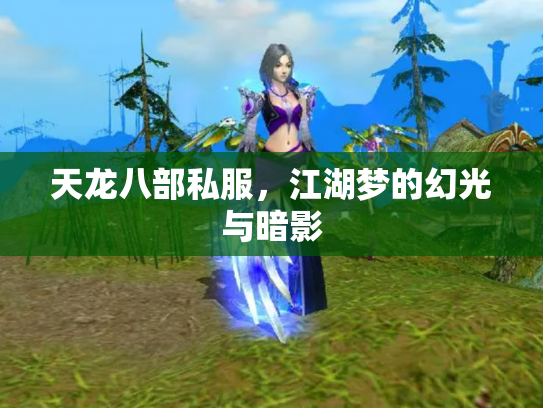 天龙八部私服，江湖梦的幻光与暗影