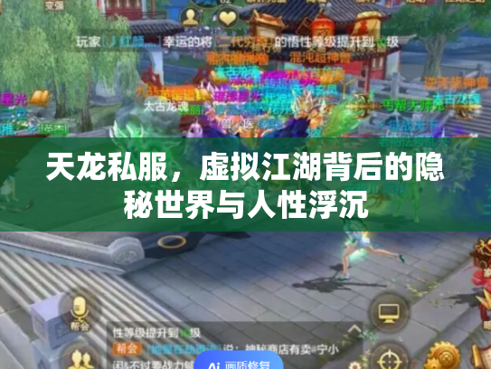 天龙私服，虚拟江湖背后的隐秘世界与人性浮沉