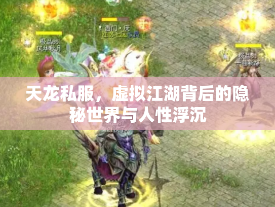 天龙私服，虚拟江湖背后的隐秘世界与人性浮沉