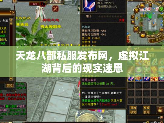 天龙八部私服发布网，虚拟江湖背后的现实迷思