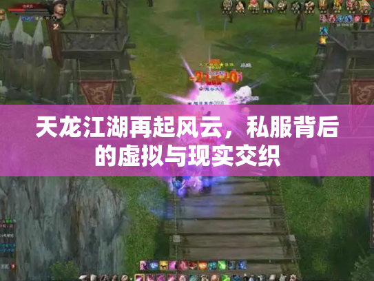 天龙江湖再起风云，私服背后的虚拟与现实交织