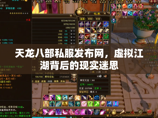 天龙八部私服发布网，虚拟江湖背后的现实迷思