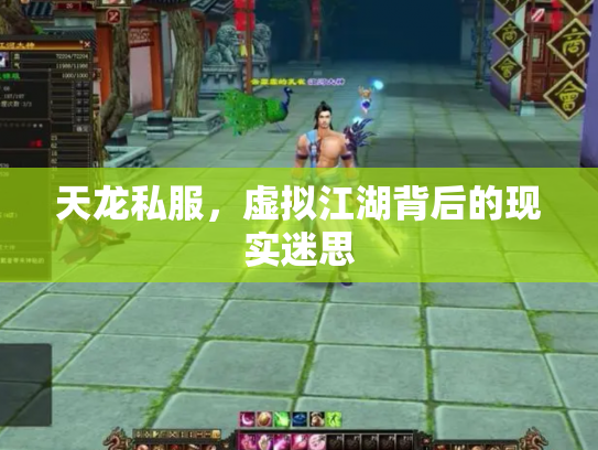 天龙私服，虚拟江湖背后的现实迷思
