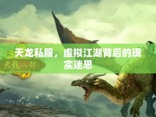 天龙私服，虚拟江湖背后的现实迷思