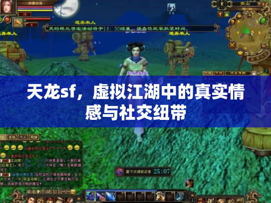 天龙sf，虚拟江湖中的真实情感与社交纽带